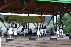 Festival-cugir (5)