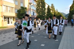 Festival-cugir (7)