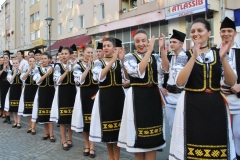 Festival-cugir (8)