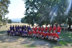 Festival-cugir (9)