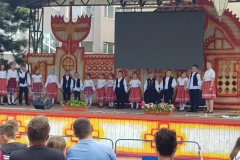 Zilele comunei Gilau 2019 - editia a IX-a (15)