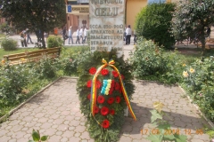 DSCN0772